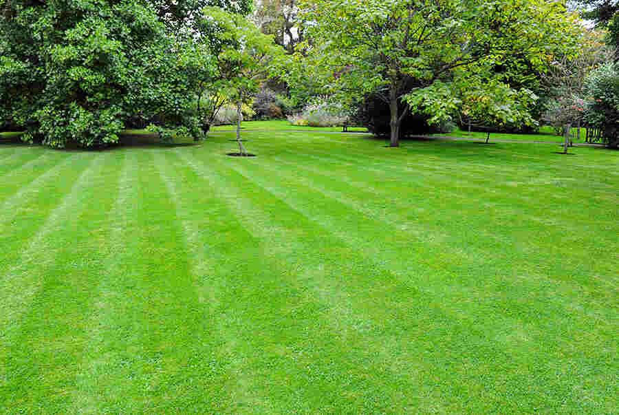 Ankara'da Bahçe Bakım ve Temizlik Hizmetleri