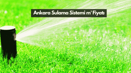 Ankara Çim Tohumu Fiyatları