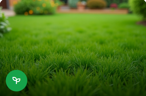 Hazır Rulo Çim Serimi